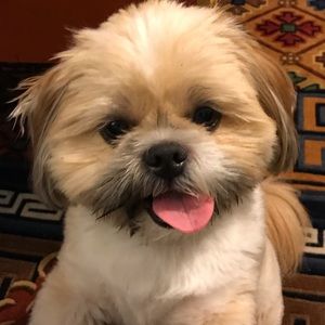 Meet your Posher, John